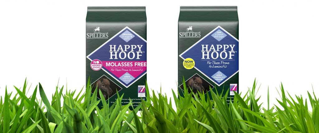 Spillers Happy Hoof