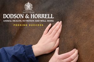 Equestrian Business Dodson & Horrell