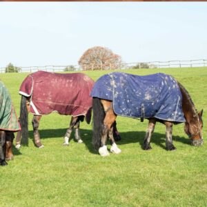 Horse Wear