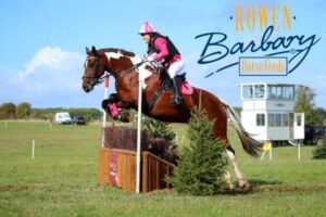 Rowen Barbary Horse feeds