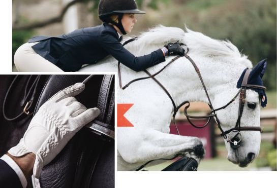 gloves2 Horse Riding Gloves