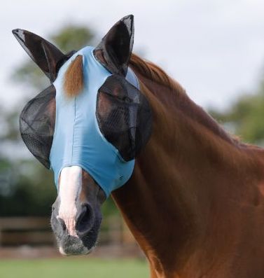 flymask flymask