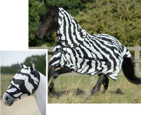 zebra new