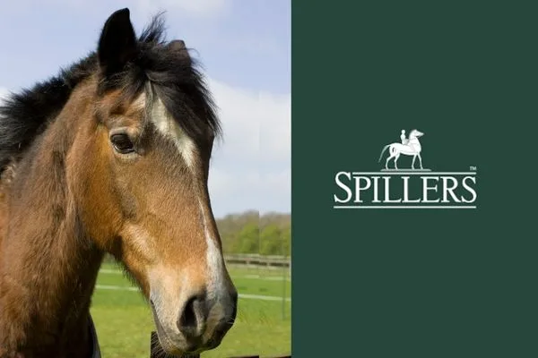 spillers spillers