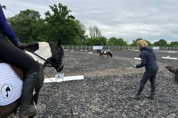 British-dressage British-dressage