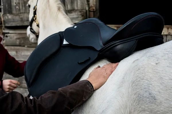 saddle-fitting-web saddle-fitting-web