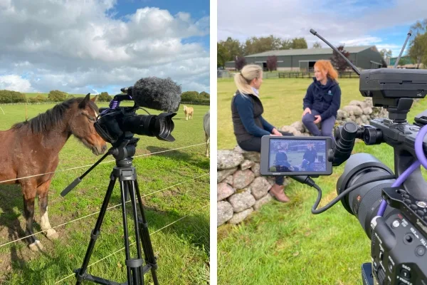 Equine experts share insights in new video series that puts the horse front and centre Equine experts share insights in new video series that puts the horse front and centre