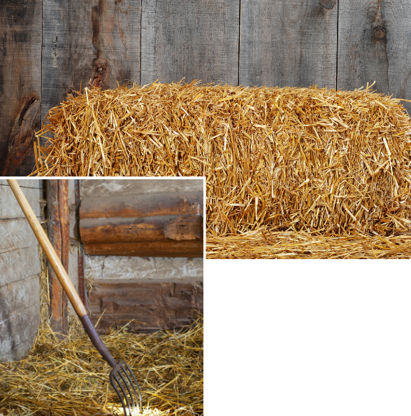 straw straw