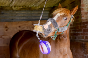 Licks Happier horse equine nutrition