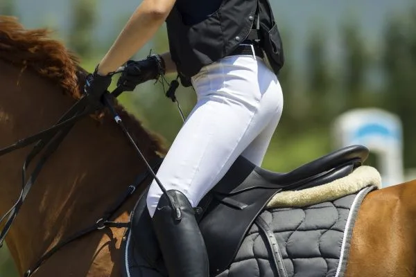 breeches breeches