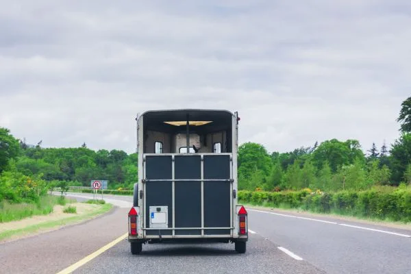 horse trailer horse trailer