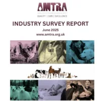 AMTRA SURVEY