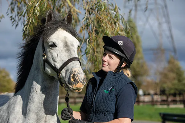 World Horse Welfare sponsorship web World Horse Welfare sponsorship web