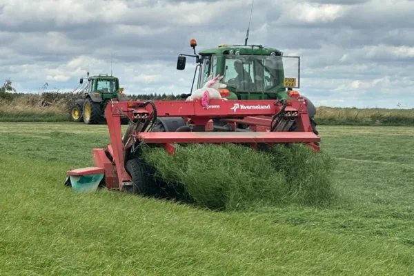 Emerald Green Mowing Grass